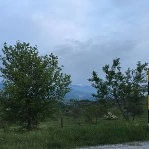 Meet your Posher, Noor